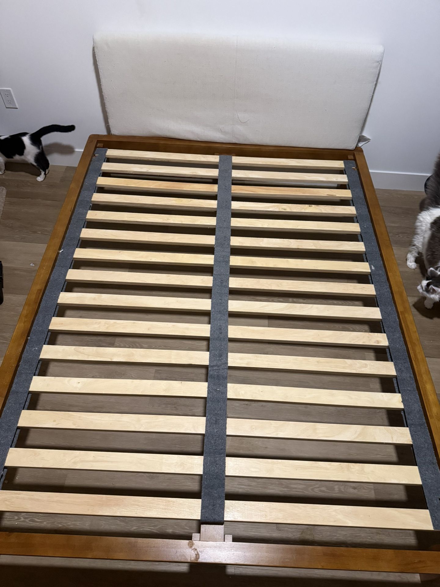 Thuma Bed Frame - Walnut (Queen)