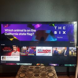 65 Inch Samasung