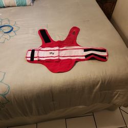 Make Offer...Dog Thunder Jacket