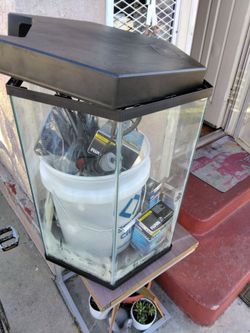 Fish tank