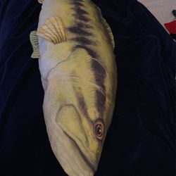 Fish Pillow