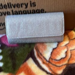 Silver Evening Bag With Chain