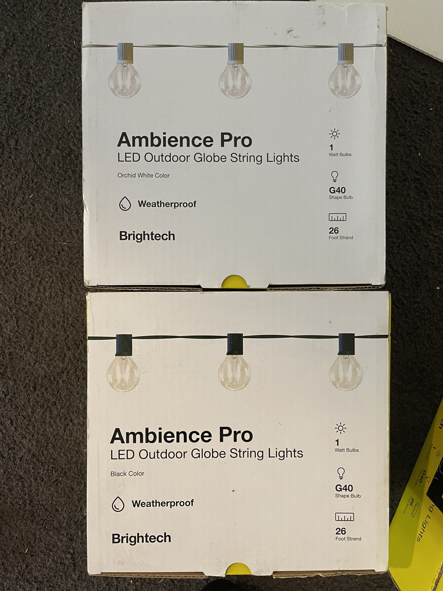 Ambience Pro LED Outdoor Globe String Lights Black Color Weatherproof Brightech -O. 1 Watt Bulbs G40 Shape Bulb 26 Foot Strand 1 Watt