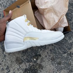 Jordan 12 Phantom