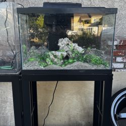 Aquarium Fish Tank 