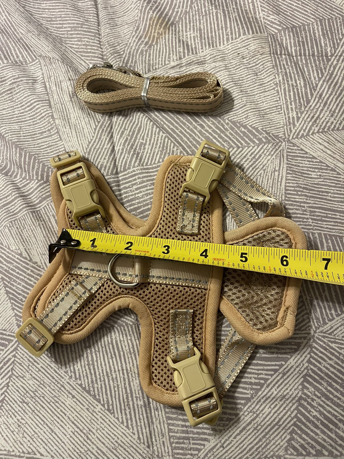 Small Beige Dog Harness And Leash