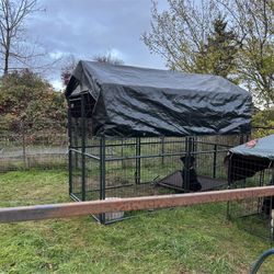 Large Kennel