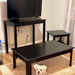 Coffee Table, Tv Table, End Table