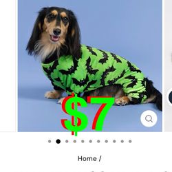 Halloween Bat Dog Pajamas, Funny Costumes for Small Dogs Boy Girl, Pet Outfit, Lime Green, Black, (Small)