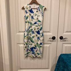 Calvin Klein Size 2 Dress