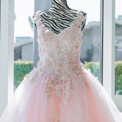 Quinceanera Dress — Size L