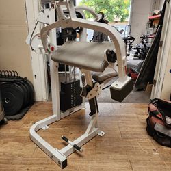 Life Fitness Tricep Extension Gym Equipment Exercise Fitness Weight Machine