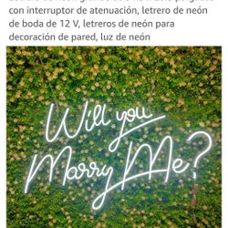 LED light sign Sads Will You Merry Me ?