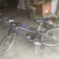 Specialized Brand Bicycle