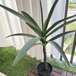 Fake agave Plant 