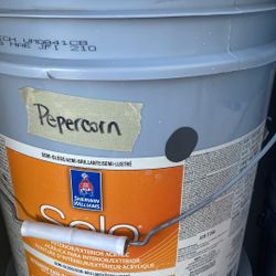 DTM Paint. Metal Surface 