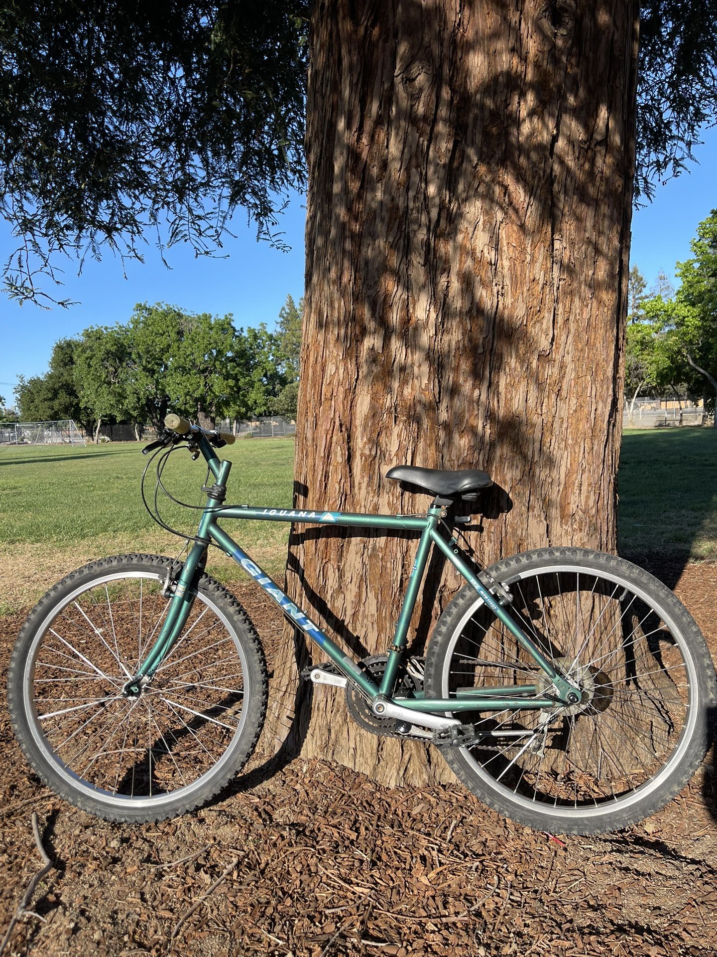 Giant Iguana mountain bike