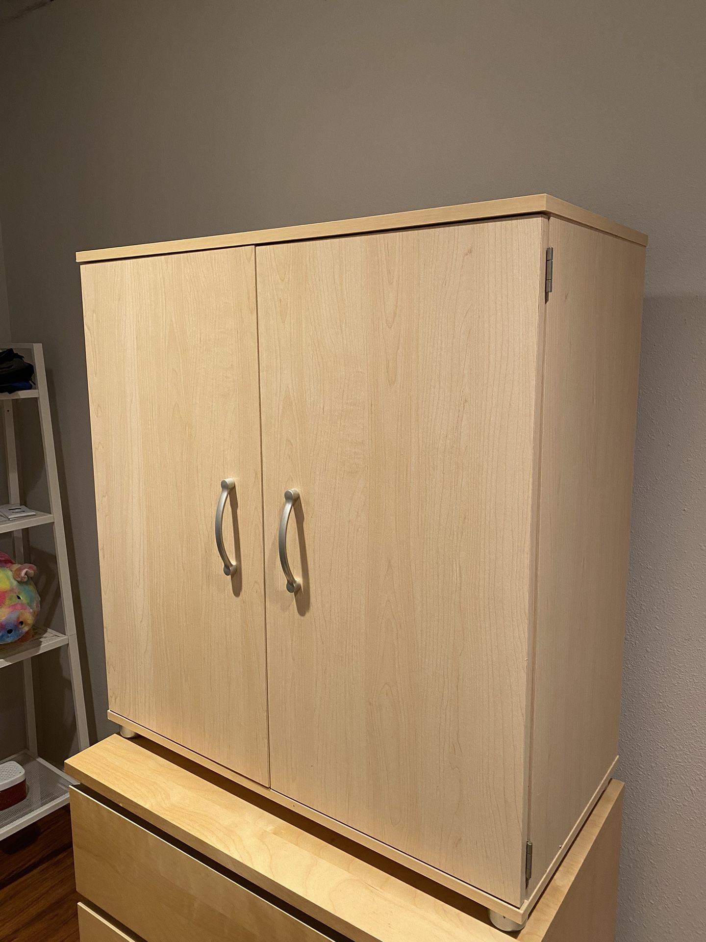Double Door Storage Cabinet - Excellent Condition
