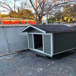 conference people Cozy Pet Shelters – The Perfect Hideaway for Your Friend