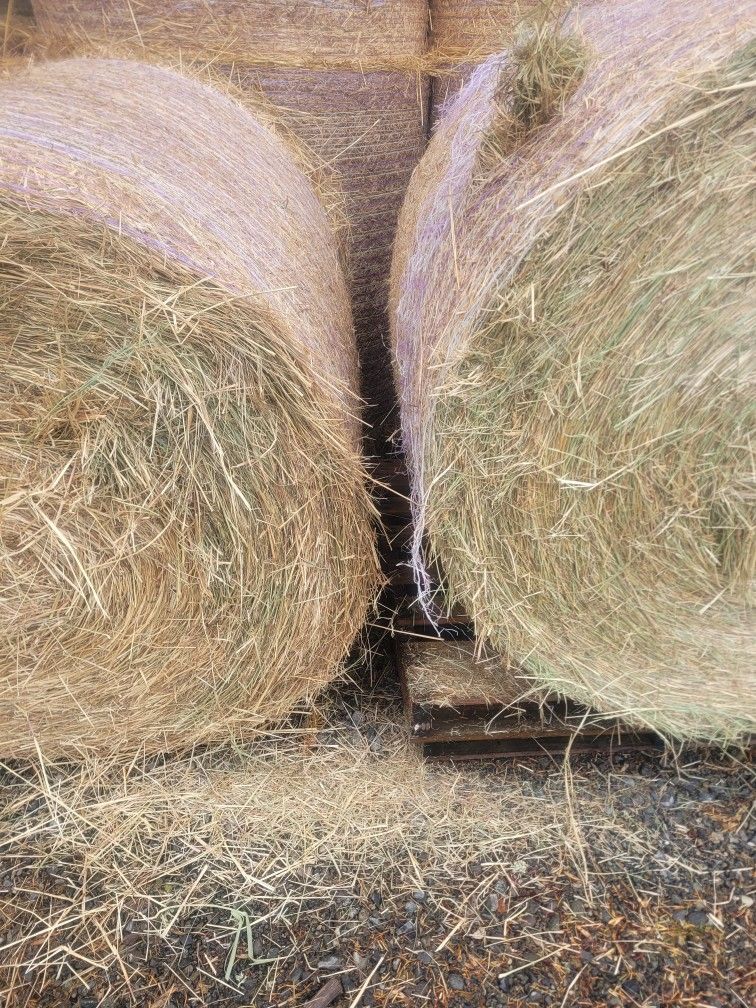 4x4 Round Bales