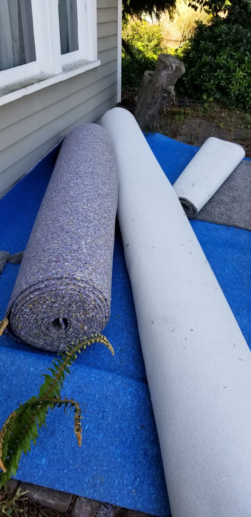 Thick plush carpet with 8 pound pad for Sale in Federal Way, WA OfferUp