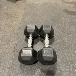 20lb rubber hex dumbbells