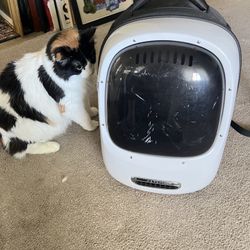 Cat Backpack