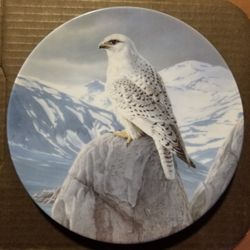Collector plate - Knowles, White Gyrfalcon