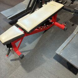 Stray Dog 0-90 Bench