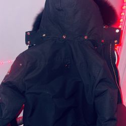 golden moose knuckle 