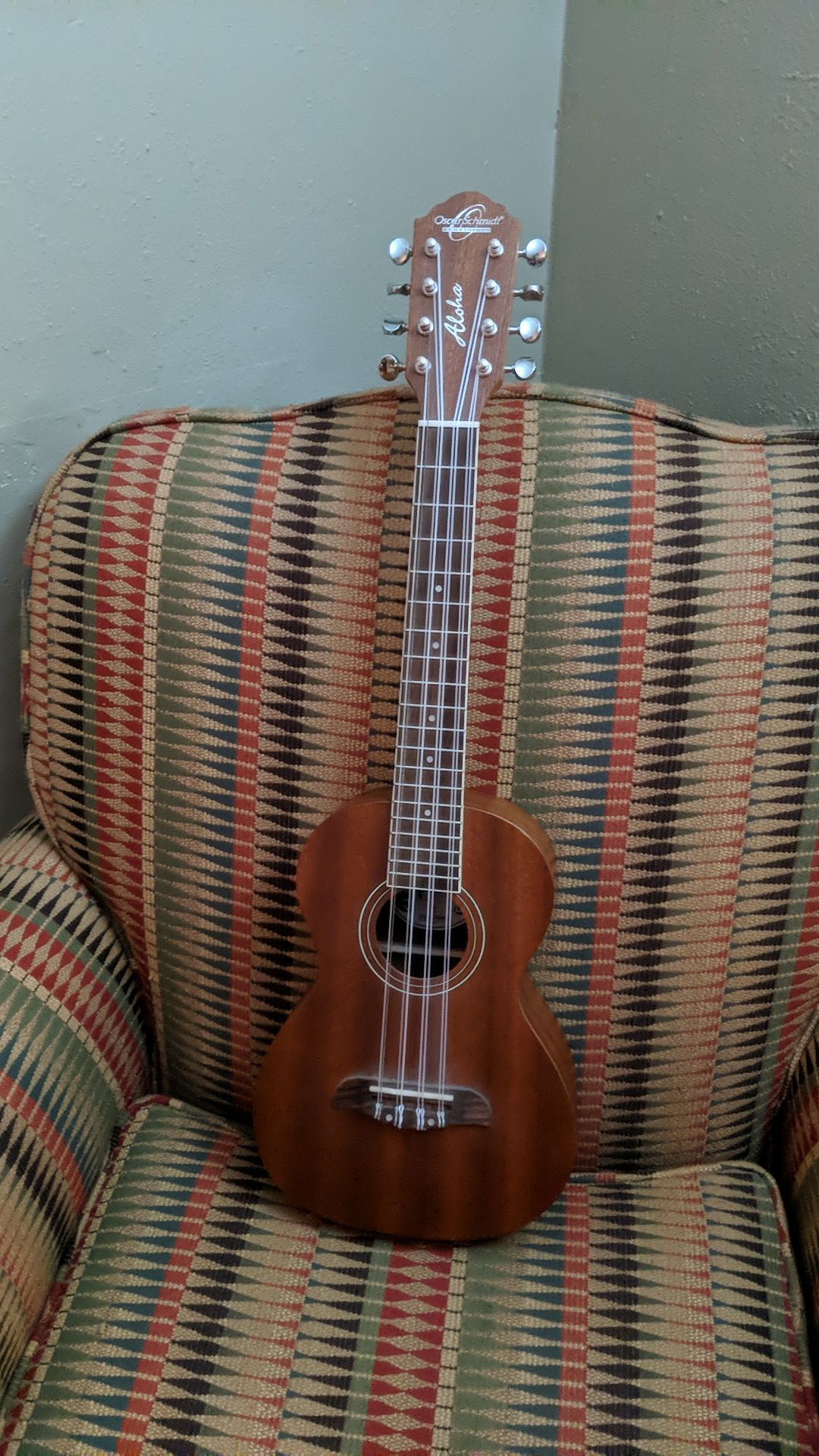 8 string ukulele