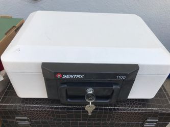 Sentry 1100 series safe