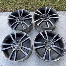 2021 Acura TLX 19" OEM Wheel Rim