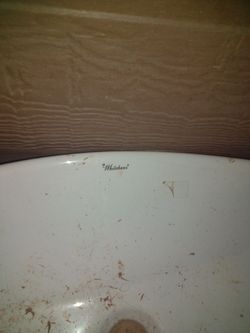 Whitehaus White Undermount Bathroom Sink