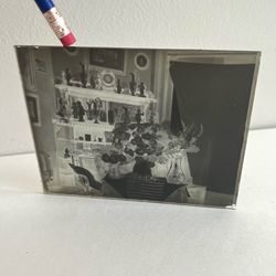 Antique Glass Plate Negative Flowers Statues Figurines NY 1800s / 1900s 5X4in