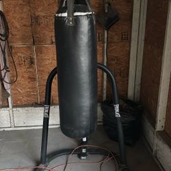 Everlast 100lb Punching & Speedbag 