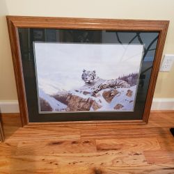 Framed White Tiger On Mountain Ledge - 31 1/2" X  25 1/2"
