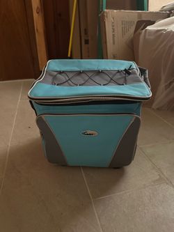 Travel Cooler