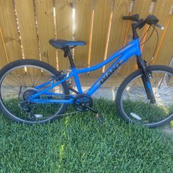 Giant Bike Kids/youth Size 