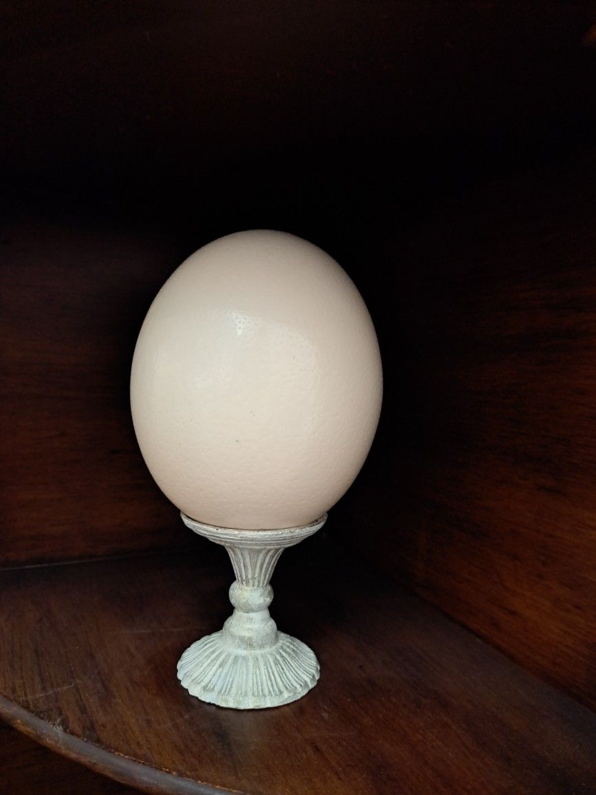 Ostrich Egg On Stand