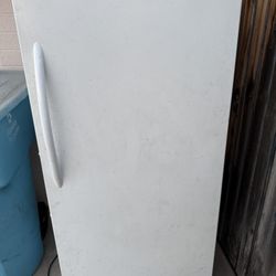 Upright Freezer 