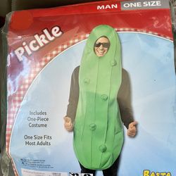 Pickle Costume One Size 