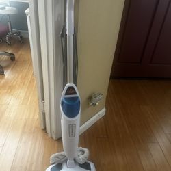 Bissell Steam Cleaner