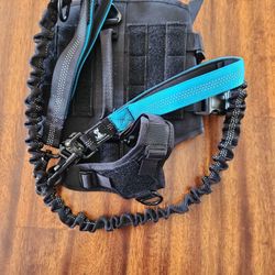 Dog Harness and Dog Leash -NEW