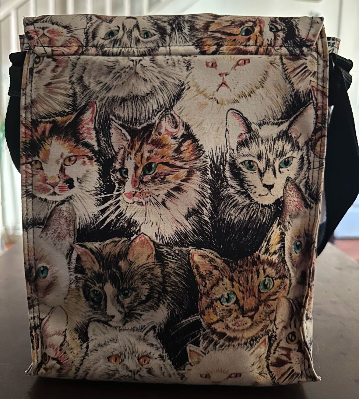 Cat Bag