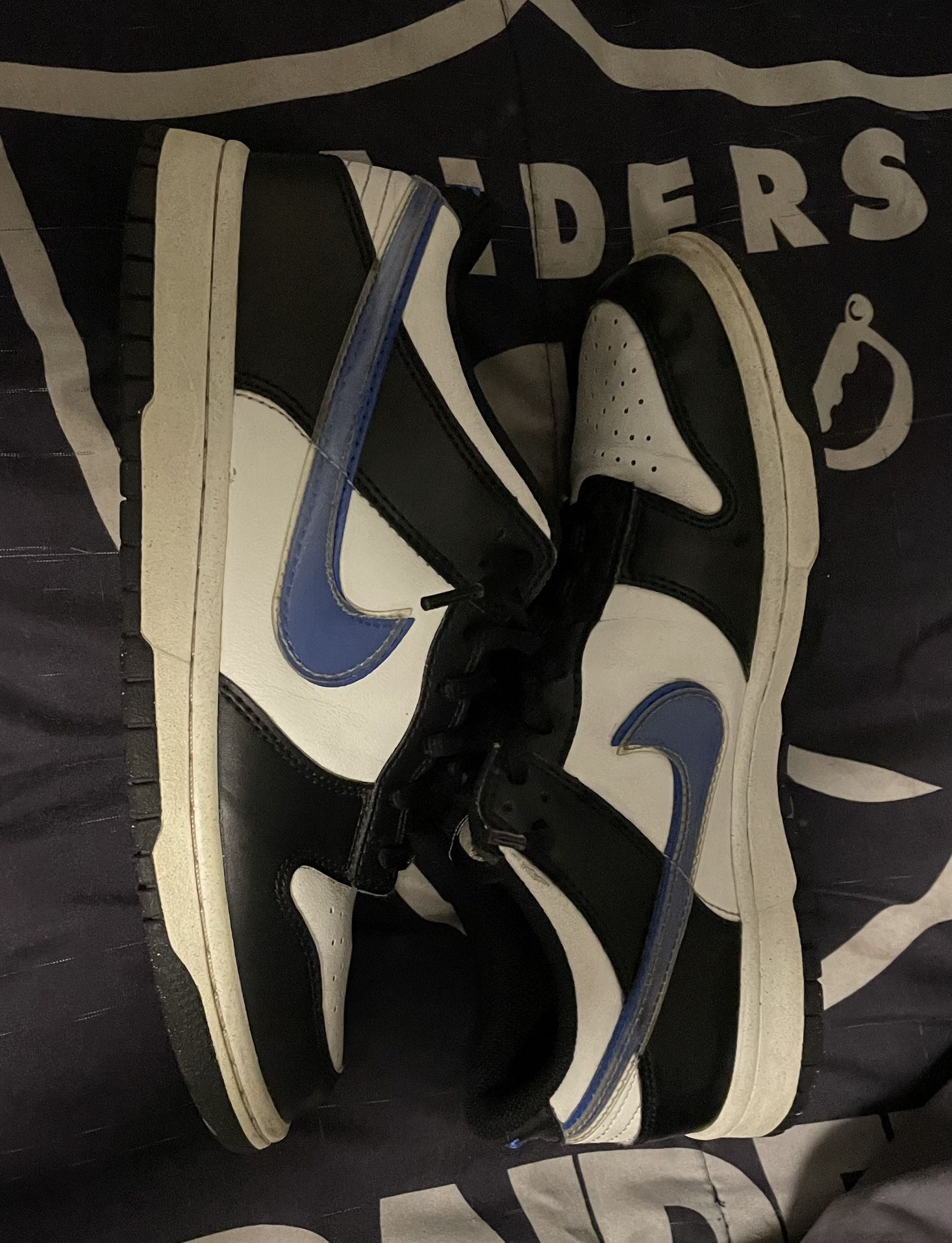 Nike Dunks Next Nature 