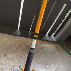 Fishing Pole 