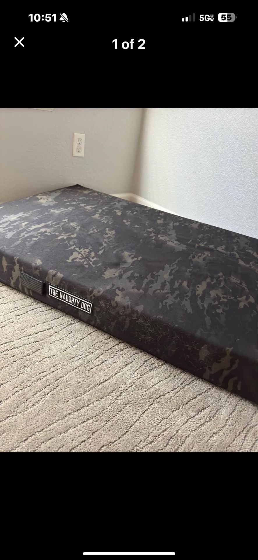One-of-a-Kind Naughty Dog Bed for Sale!