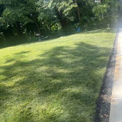 Fresh Sod Cut Every Morning 