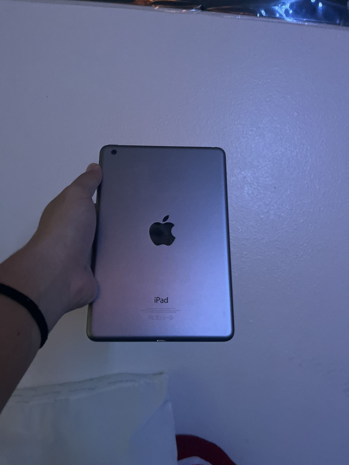 iPad